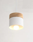 ChicBeam - Stylish Modern Hanging Light